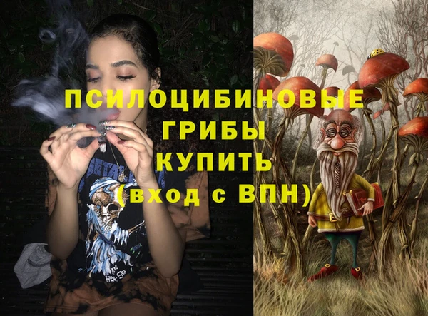 PSILOCYBIN Вязники