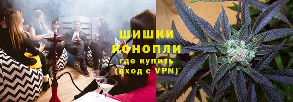 эйфоретик Вяземский