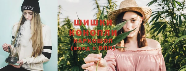 PSILOCYBIN Вязники