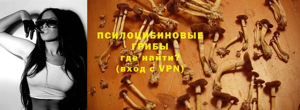 эйфоретик Вяземский